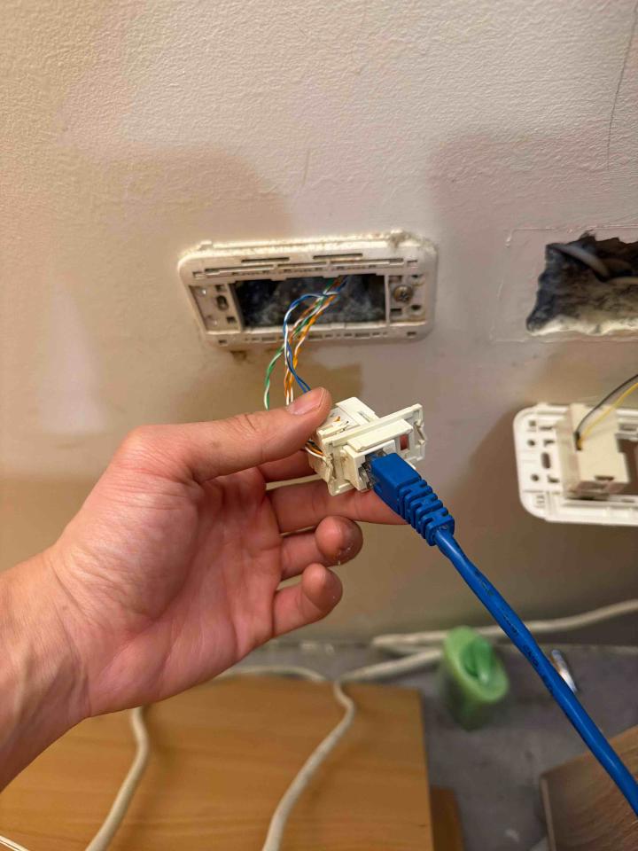 拉網路線案件圖片