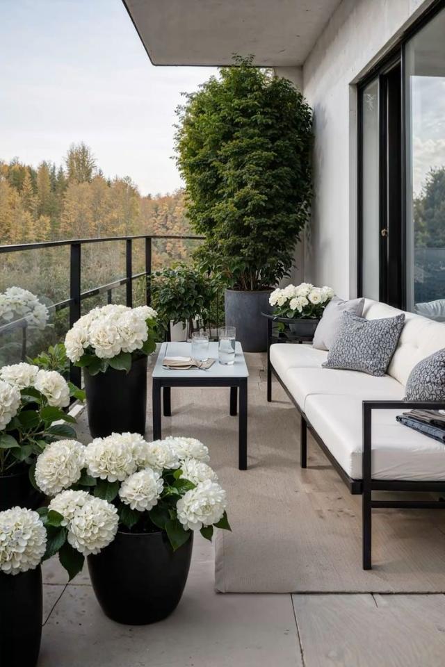 陽台設計案件圖片