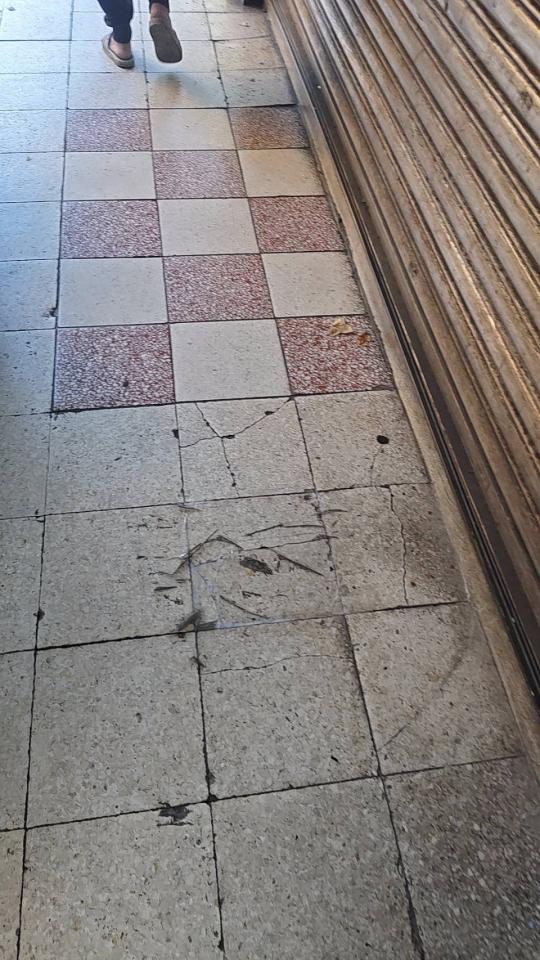 泥作/水泥施工案件圖片