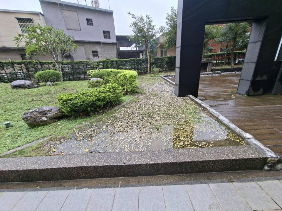 園藝維護案件圖片