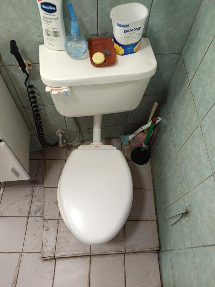 馬桶裝修案件圖片