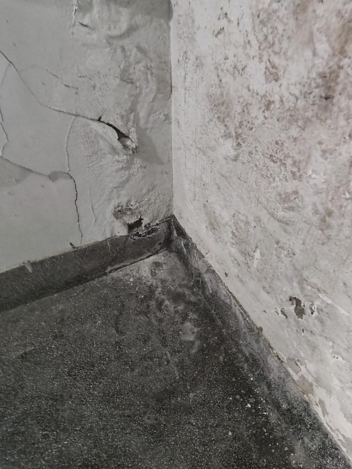 泥作/水泥施工案件圖片