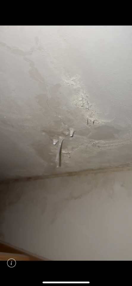 漏水鑑定案件圖片