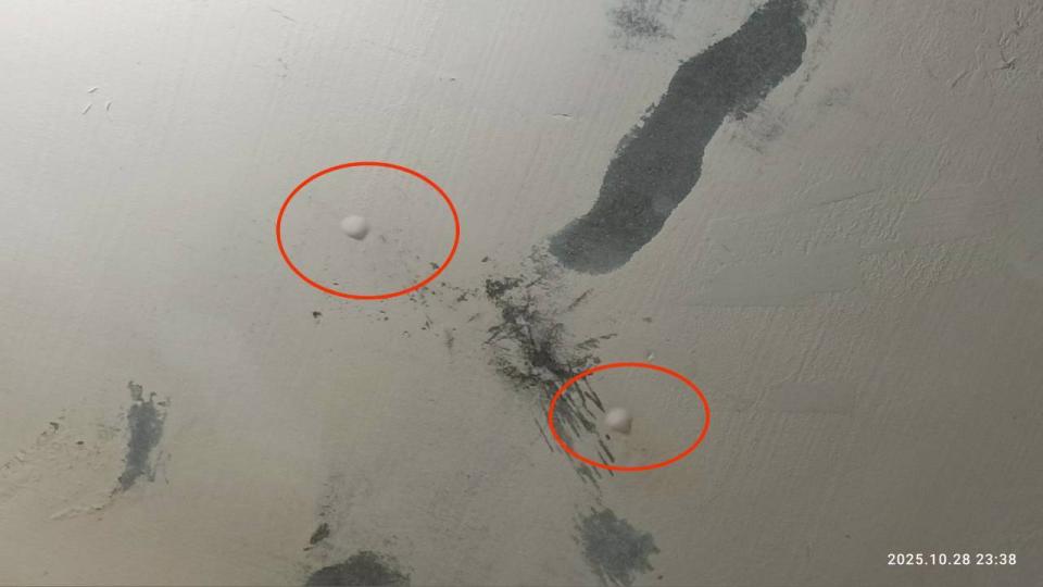 漏水處理案件圖片