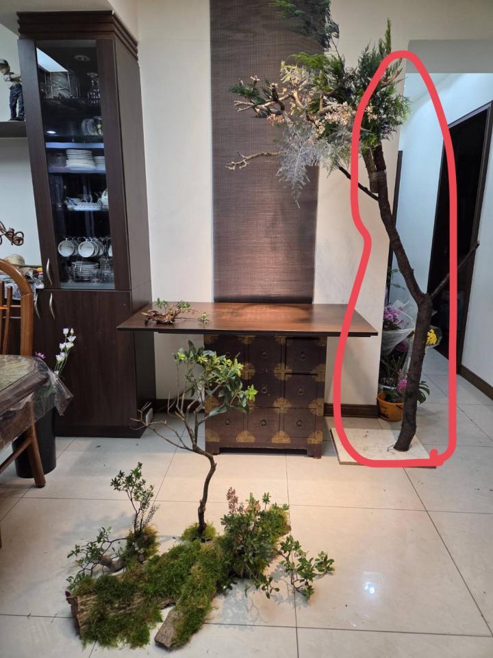 家具搬運案件圖片