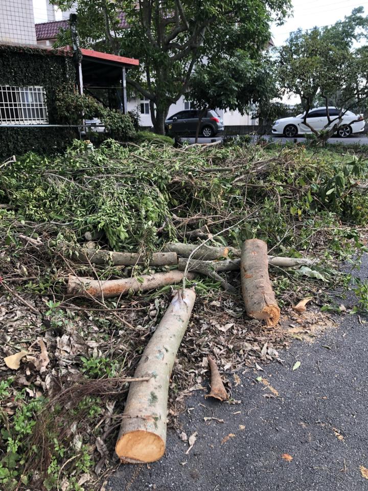 大型垃圾回收案件圖片