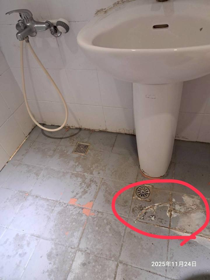 泥作/水泥施工案件圖片