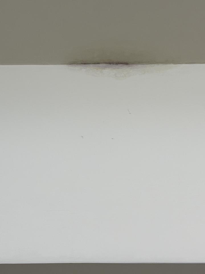 漏水處理案件圖片