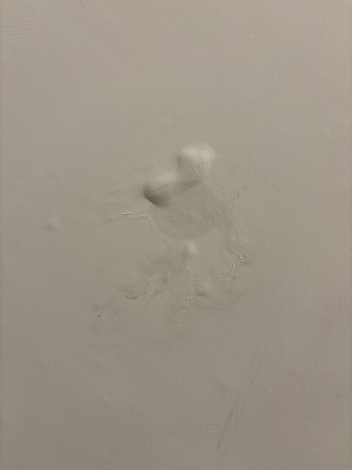 漏水處理案件圖片