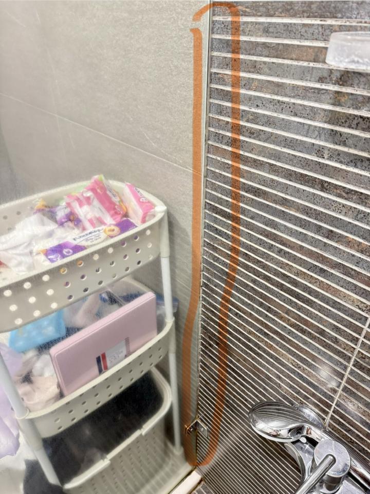 矽利康工程案件圖片