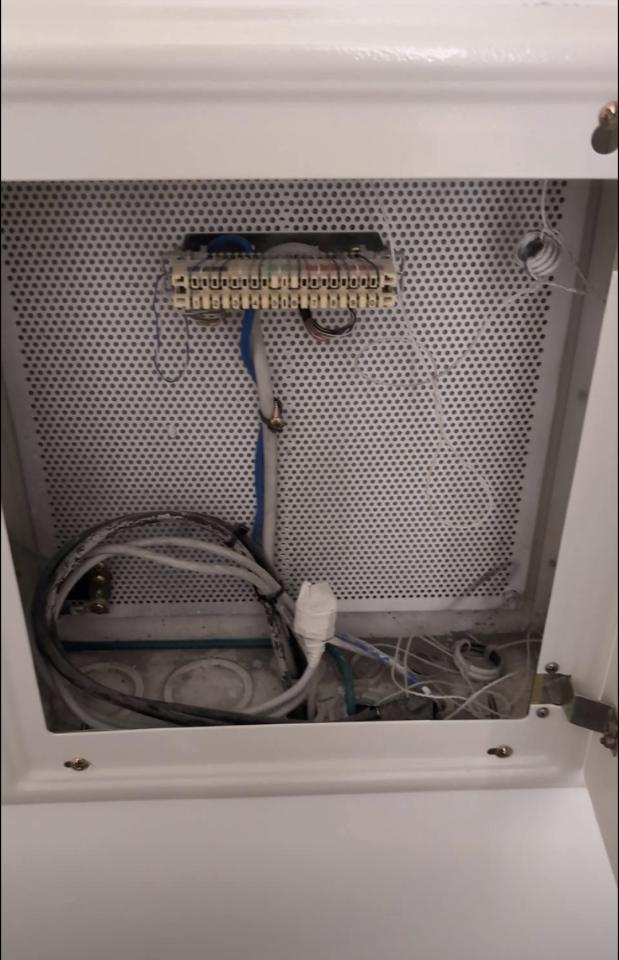 拉網路線案件圖片