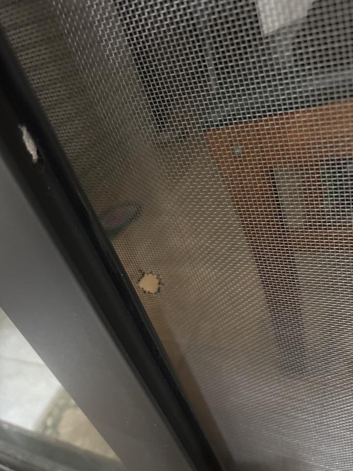 紗窗裝修案件圖片