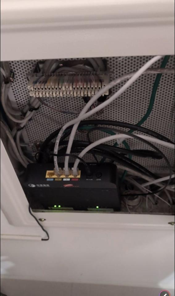 拉網路線案件圖片