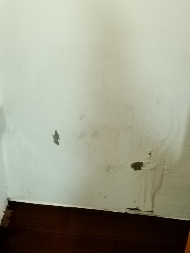 壁癌處理案件圖片