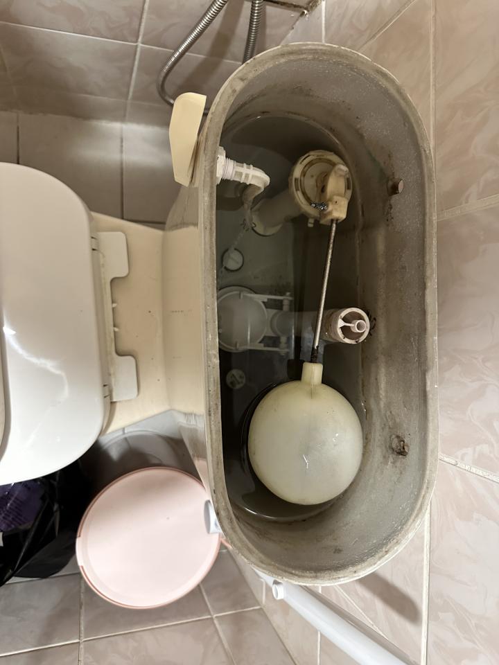 馬桶裝修案件圖片