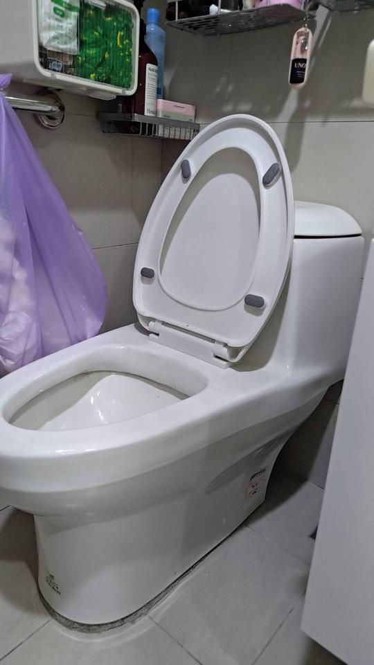 免治馬桶裝修案件圖片