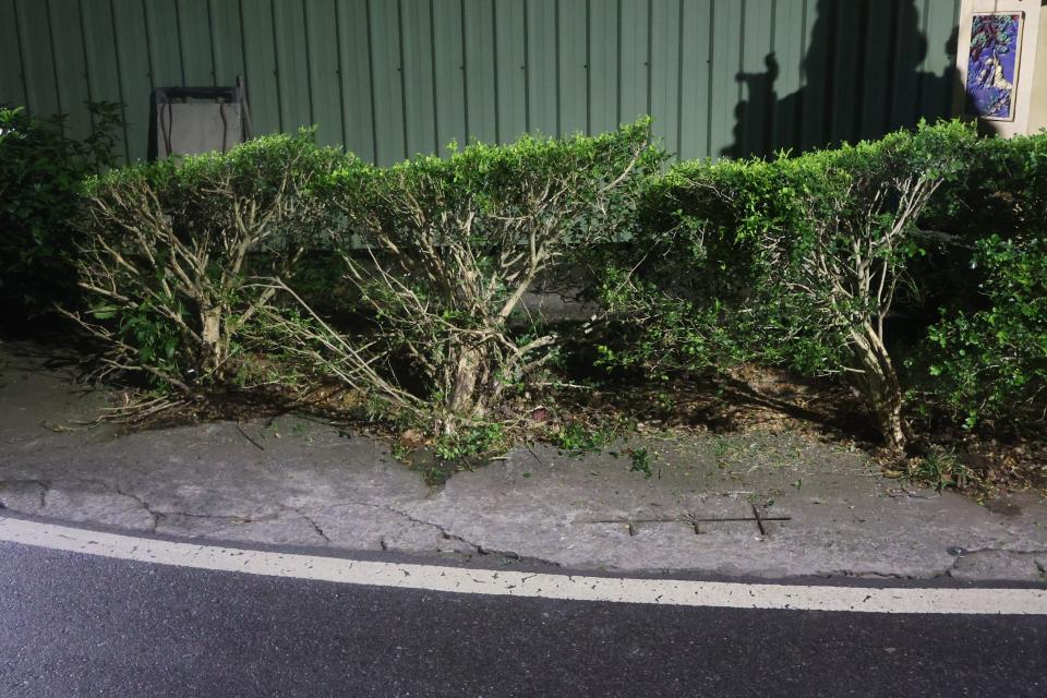 園藝維護案件圖片