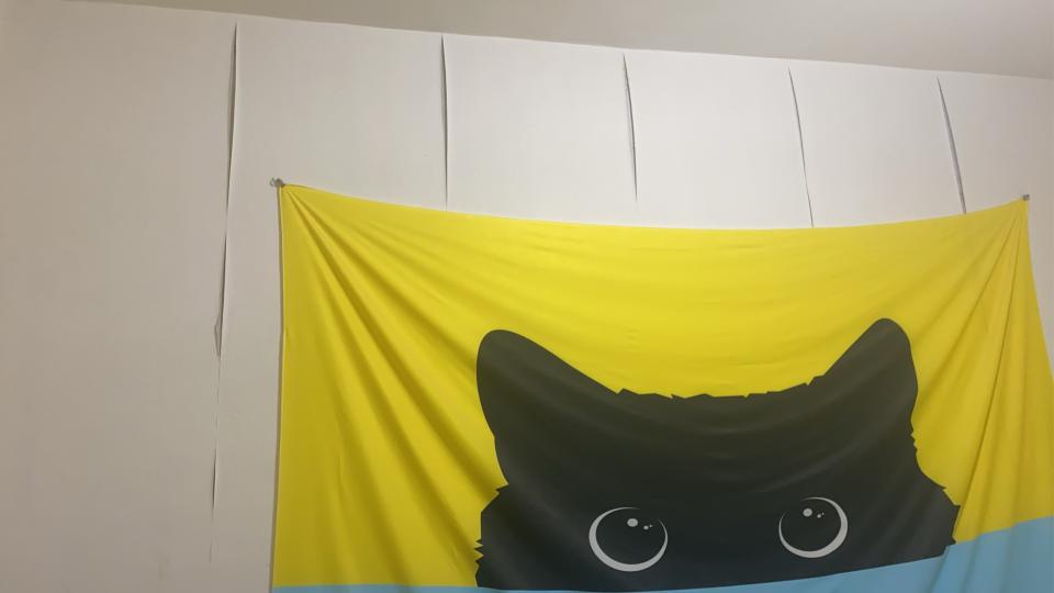 油漆工程案件圖片