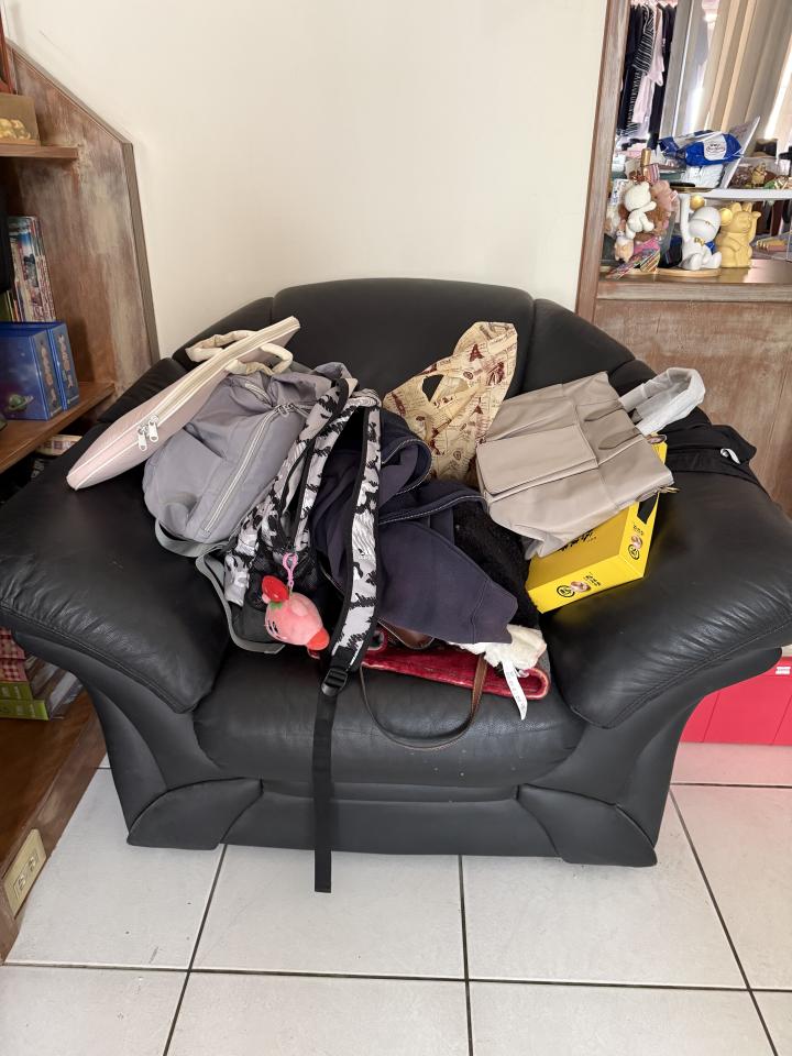 大型垃圾回收案件圖片