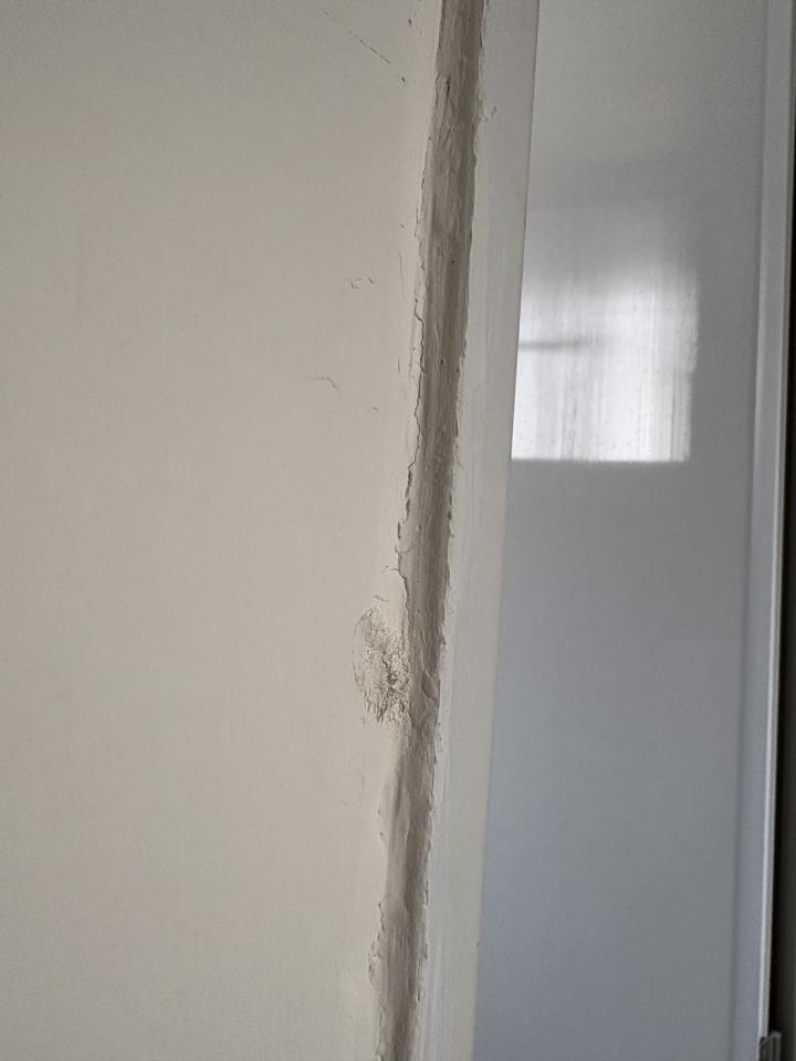 壁癌處理案件圖片