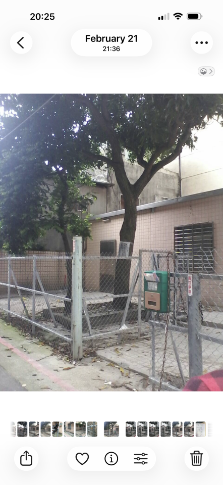 園藝維護案件圖片