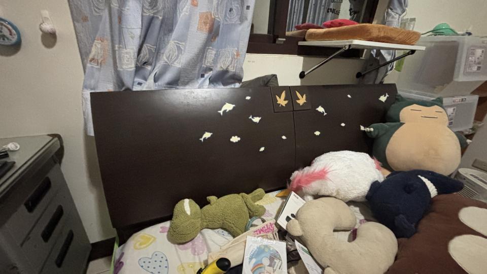 大型垃圾回收案件圖片