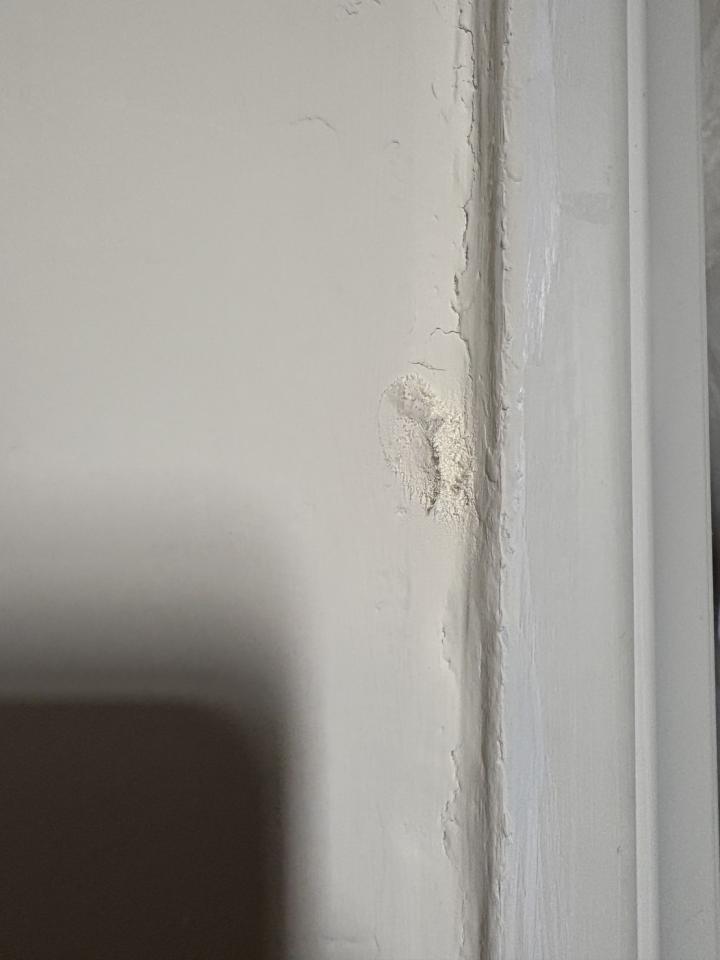 壁癌處理案件圖片