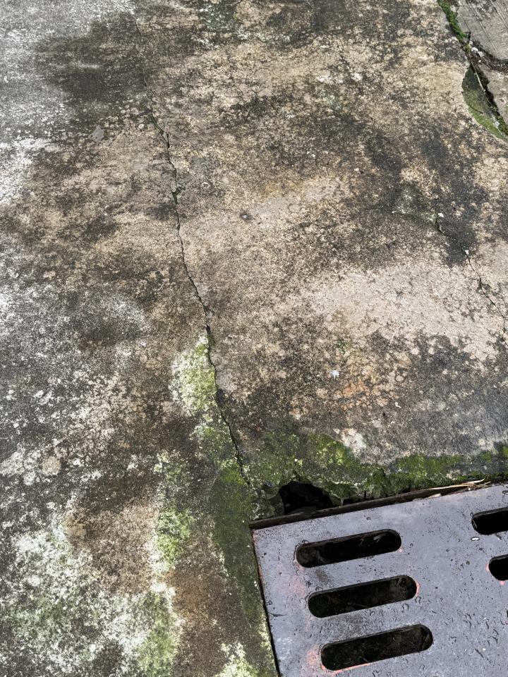 泥作/水泥施工案件圖片