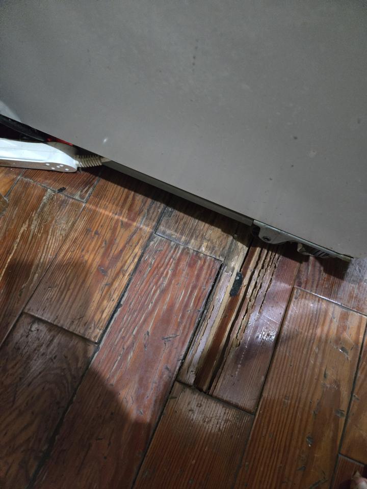 地板施工案件圖片