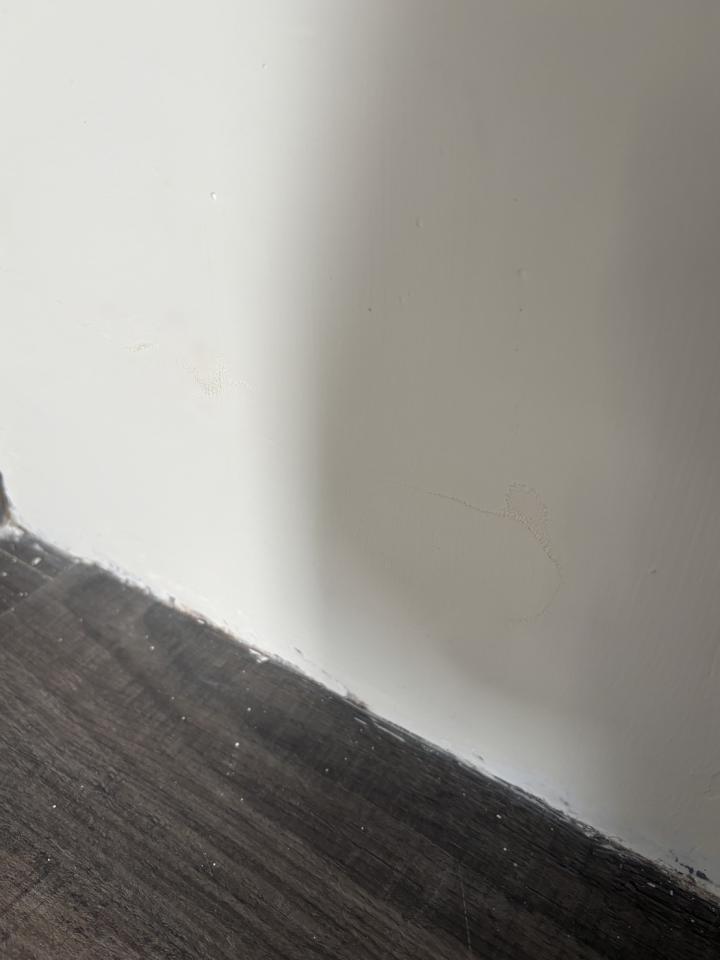 壁癌處理案件圖片