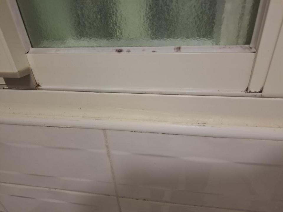 浴室除霉清潔案件圖片