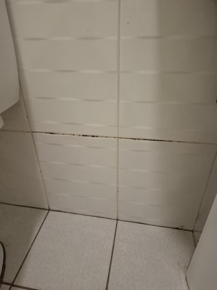 浴室除霉清潔案件圖片