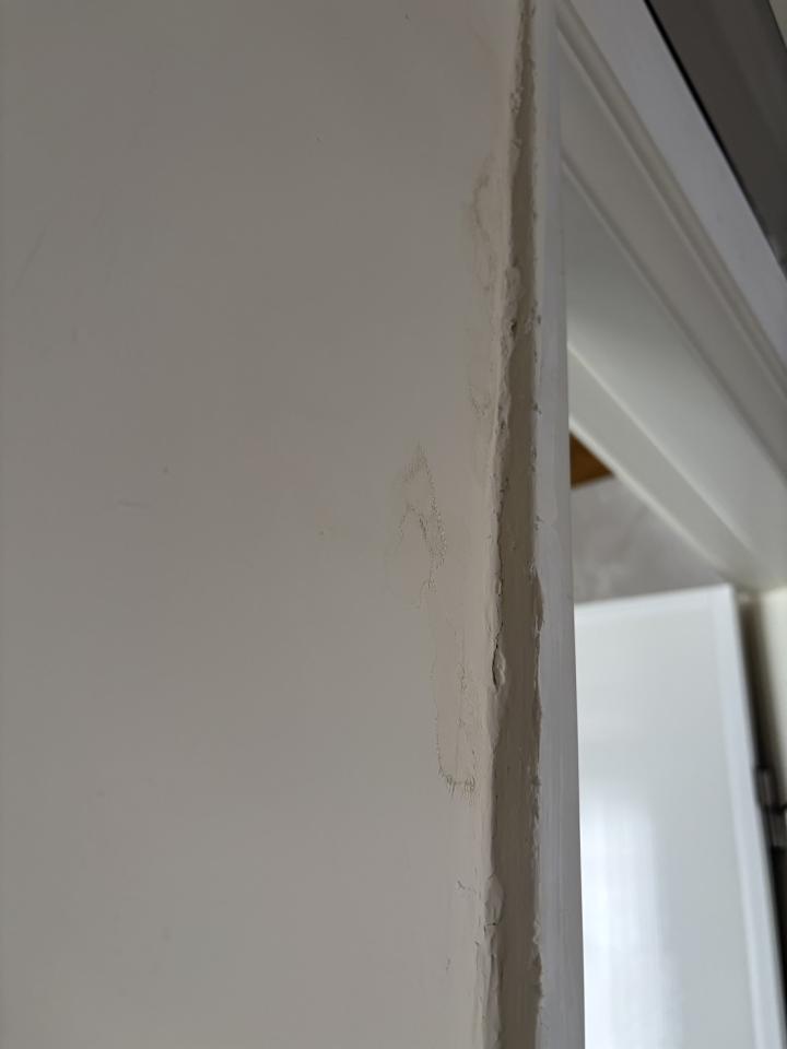 壁癌處理案件圖片