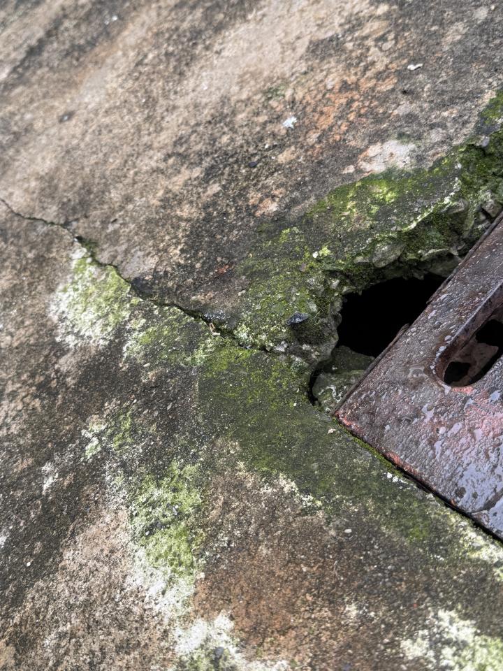 泥作/水泥施工案件圖片