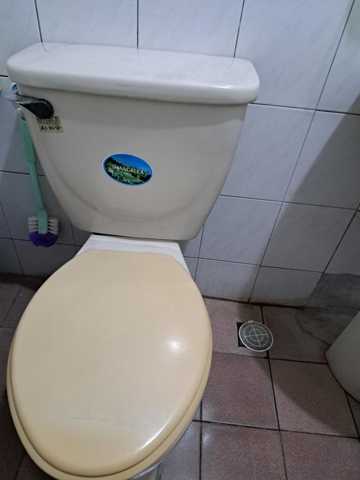 馬桶裝修案件圖片