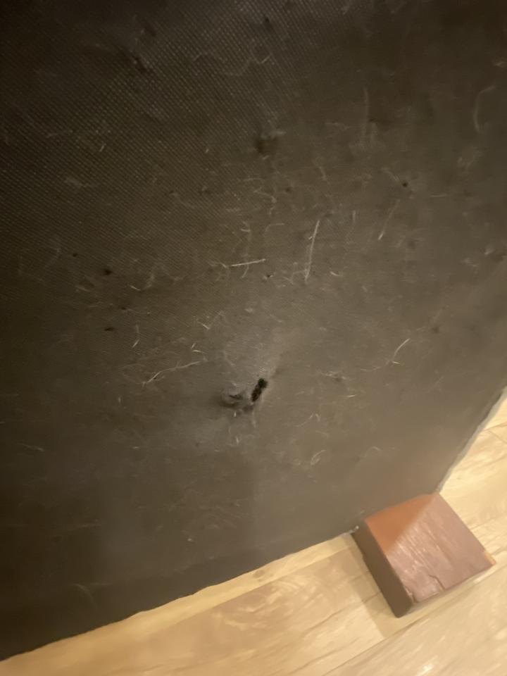 沙發修理案件圖片