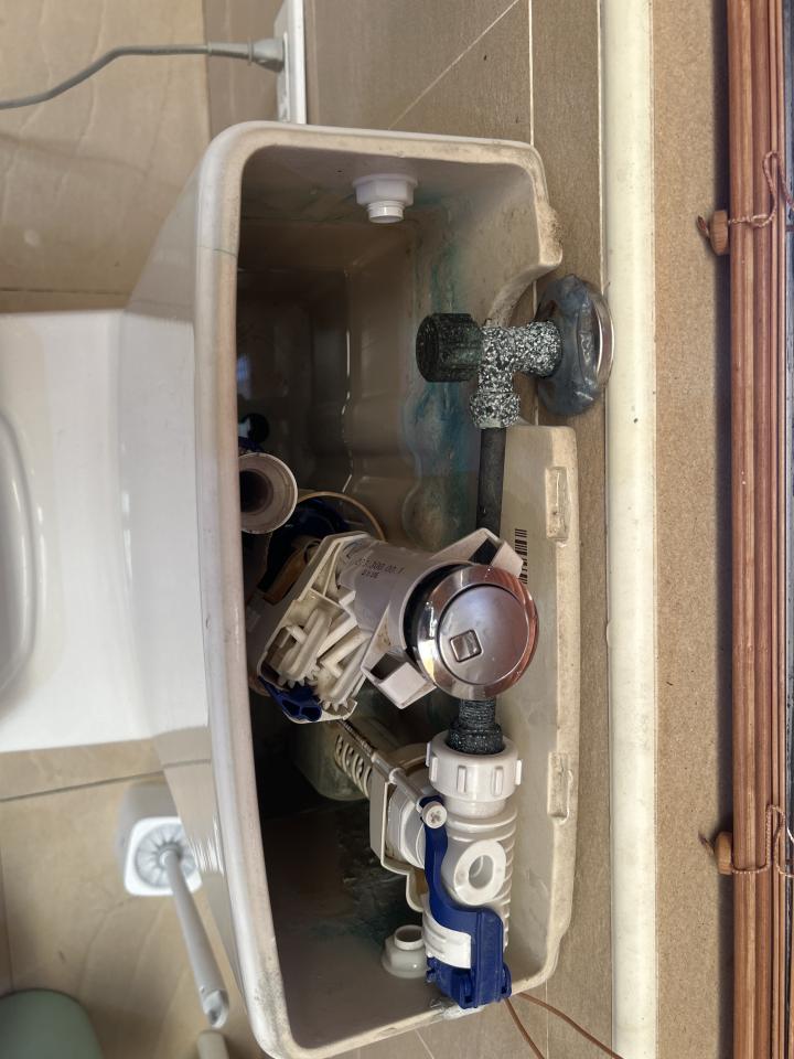 馬桶裝修案件圖片