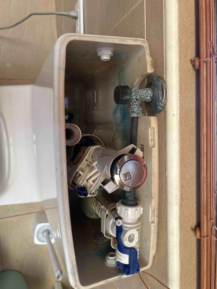 馬桶裝修案件圖片