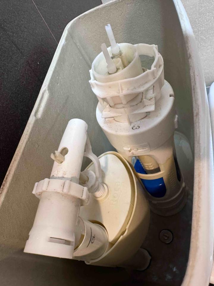 馬桶裝修案件圖片