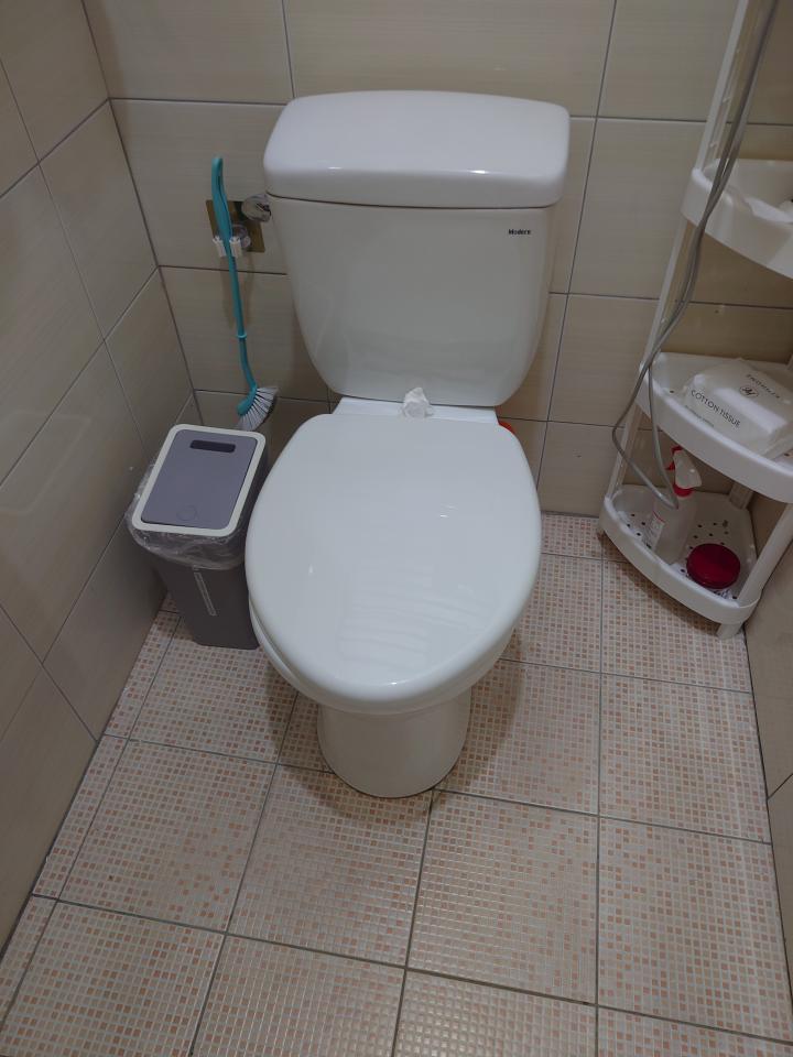 馬桶裝修案件圖片