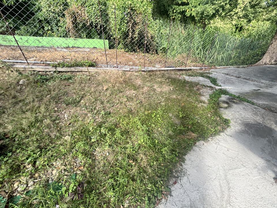 園藝維護案件圖片