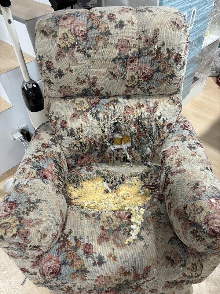 沙發修理案件圖片