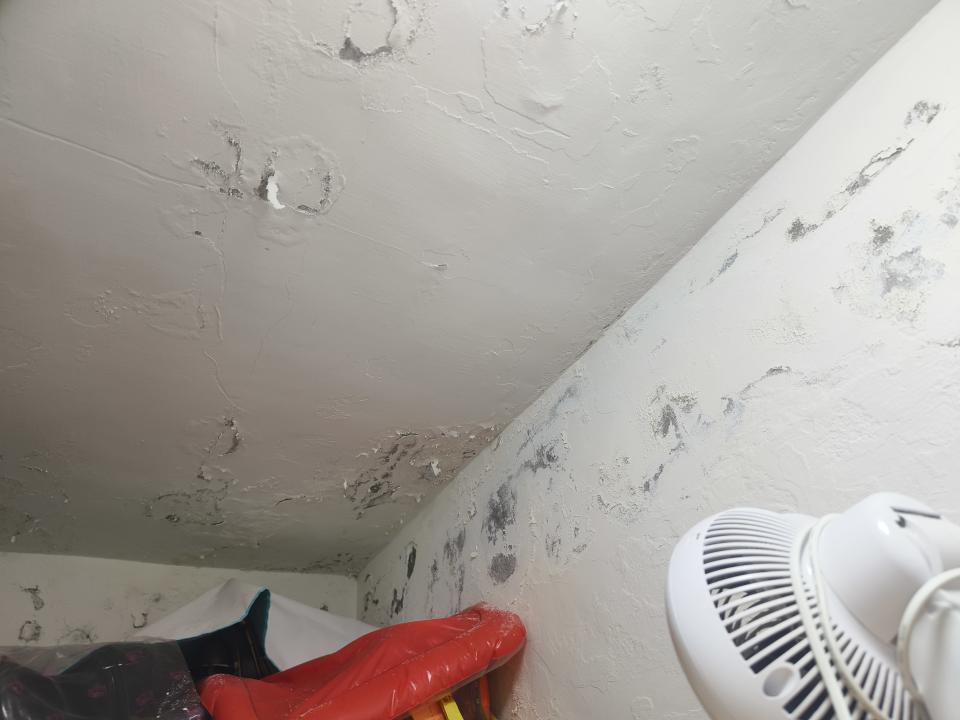 壁癌處理案件圖片