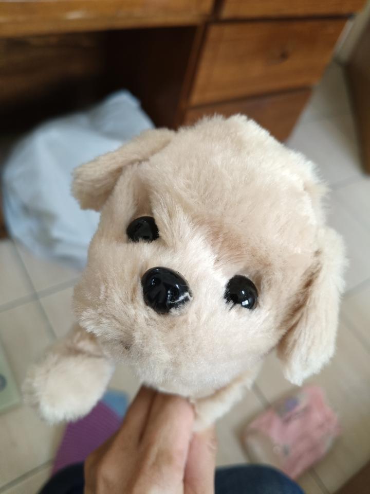 服裝設計案件圖片