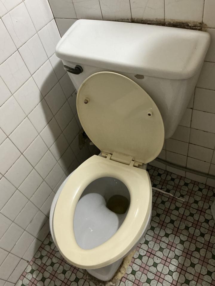 馬桶裝修案件圖片