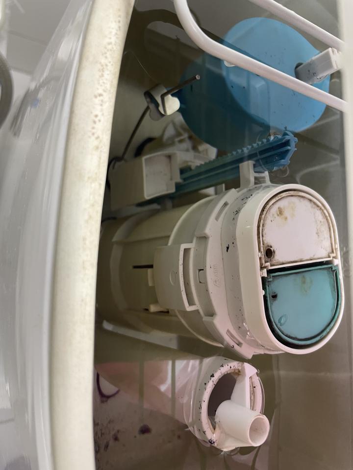 馬桶裝修案件圖片