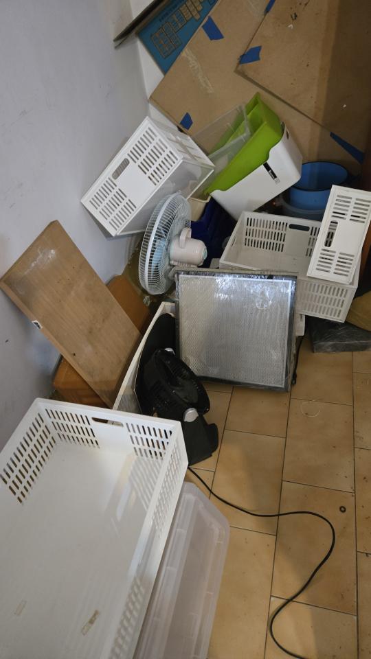 大型垃圾回收案件圖片