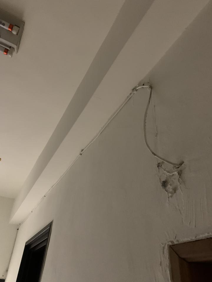 拉網路線案件圖片