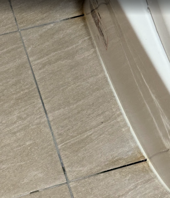 馬桶裝修案件圖片