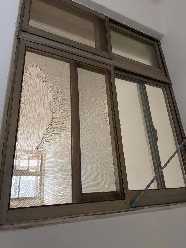 紗窗裝修案件圖片